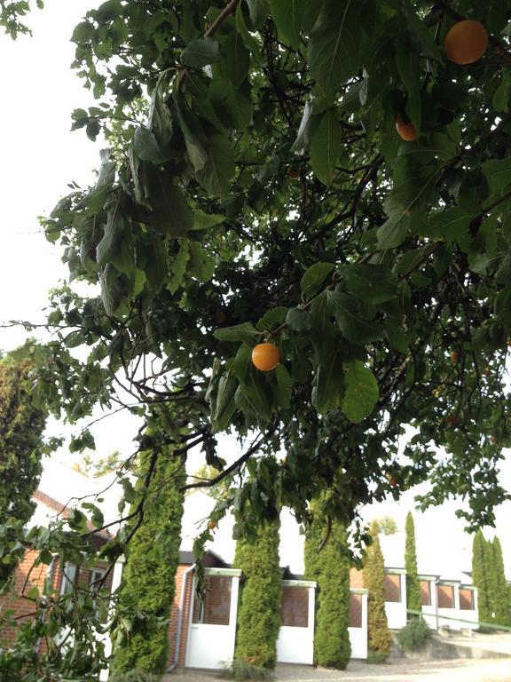 Den Gamle Gaard Apartments Nysted エクステリア 写真